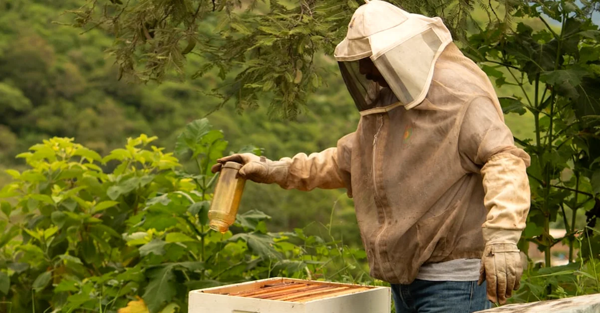 Der beste Bienenstock ist oft der deines Vereins