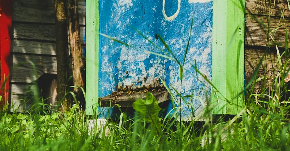 Warum Sommertracht vom selben Ort anders schmeckt